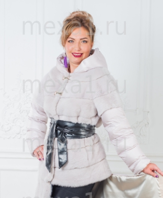 assets/images/shop/mexa/mexa2.jpg