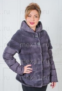 assets/images/shop/mexa/mexa3.jpg