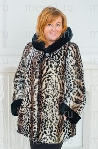 assets/images/shop/mexa/mexa32.jpg