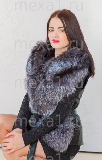 assets/images/shop/mexa/mexa53.jpg