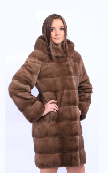 assets/images/shop/mexamagia/mexamagia19.png
