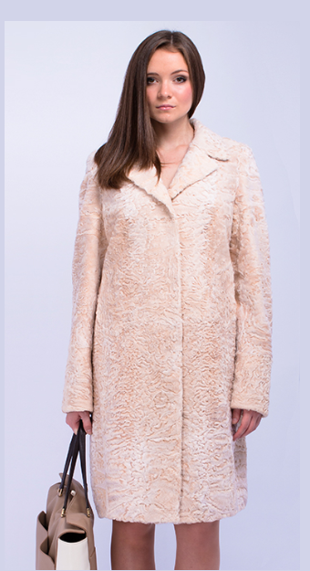 assets/images/shop/mexamagia/mexamagia25.png