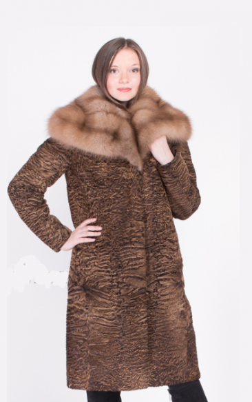 assets/images/shop/mexamagia/mexamagia26.png