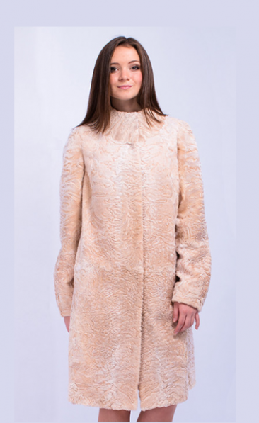 assets/images/shop/mexamagia/mexamagia27.png