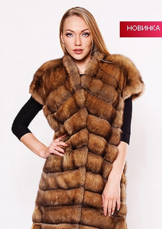 assets/images/shop/rotfront/rotfront101.jpg