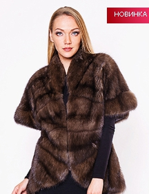 assets/images/shop/rotfront/rotfront124.jpg