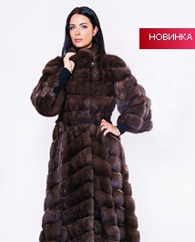 assets/images/shop/rotfront/rotfront136.jpg