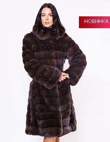 assets/images/shop/rotfront/rotfront138.jpg