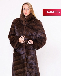 assets/images/shop/rotfront/rotfront141.jpg