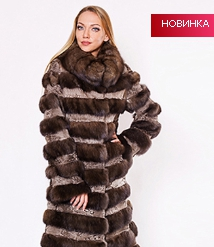 assets/images/shop/rotfront/rotfront143.jpg