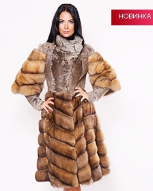 assets/images/shop/rotfront/rotfront144.jpg