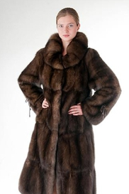 assets/images/shop/rotfront/rotfront145.jpg