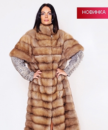 assets/images/shop/rotfront/rotfront147.jpg