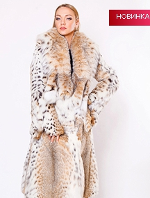 assets/images/shop/rotfront/rotfront148.jpg