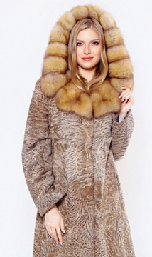 assets/images/shop/rotfront/rotfront34.jpg