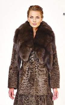 assets/images/shop/rotfront/rotfront56.jpg