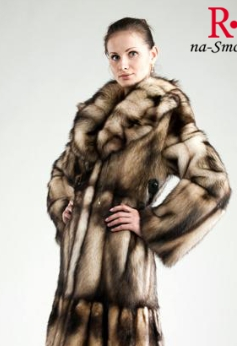 assets/images/shop/rotfront/rotfront95.jpg