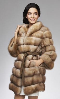 assets/images/shop/shuba/shuba88.jpg