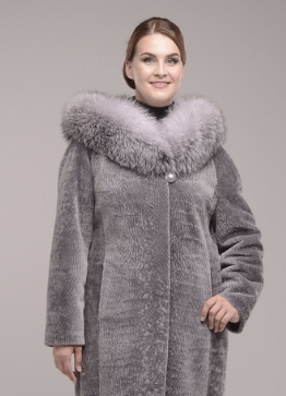 assets/images/shop/sobol/sobol72.jpg