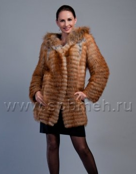 assets/images/shop/spbmeh/spbmeh74.jpg
