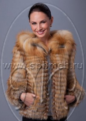 assets/images/shop/spbmeh/spbmeh85.jpg