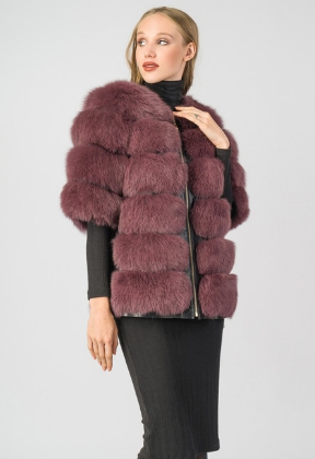 assets/images/shop/totogroup/totogroup83.jpg
